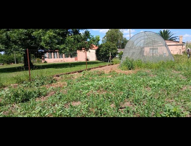 4 BEDROOM HOUSE FOR SALE IN HATTINGSPRUIT